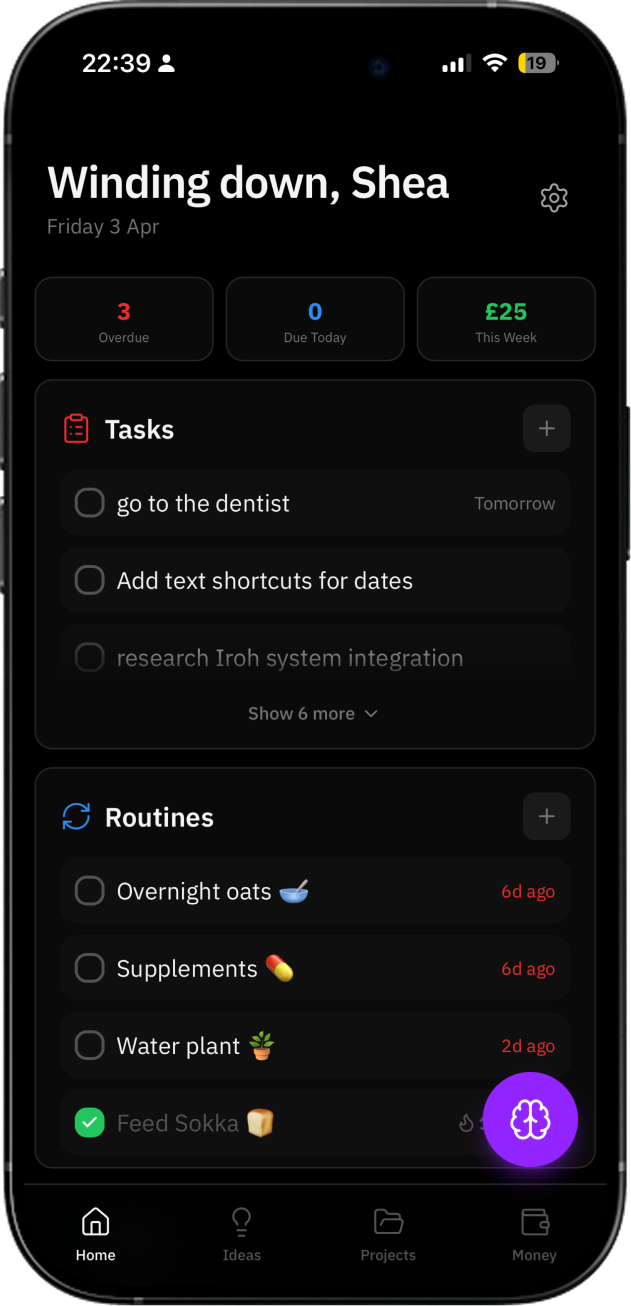 Brain Dump home screen showing tasks, routines and weekly earnings